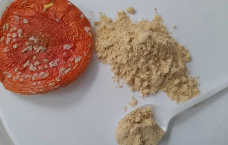 Червоний мухомор. Мікродозинг