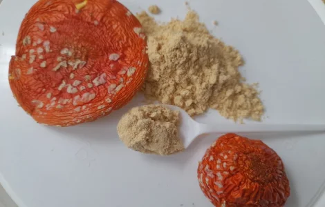 Мухомор червоний мелений