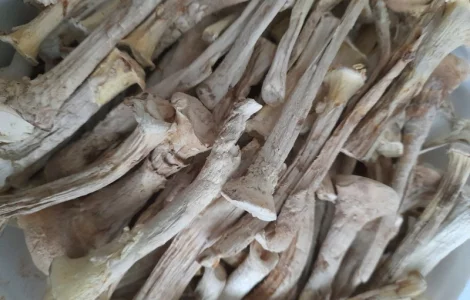 Ножки мухомора сушені