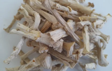 Ніжки пантерного мухомора