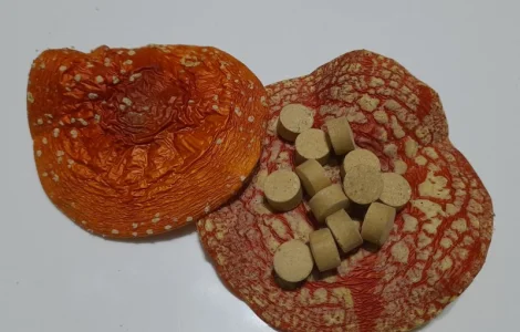 Червоний мухомор в гранулах