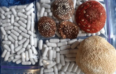 Продам мухомор в папсулах сбір 2025року