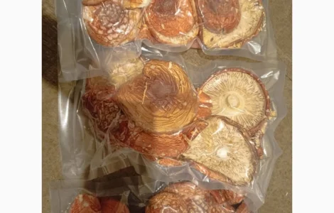 Червоні мухомори