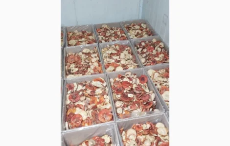 Продам мухомор, сухий карпатський