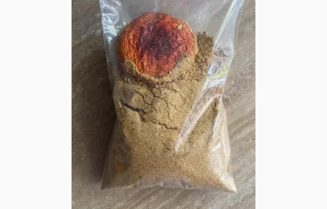 Порошок червоного мухомора