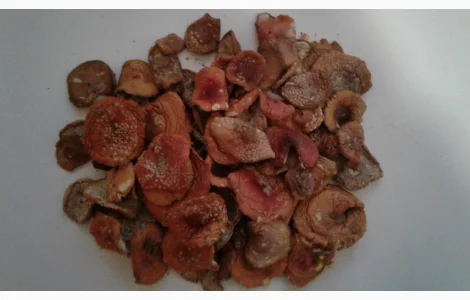 Красный мухомор. 2025 новый урожай