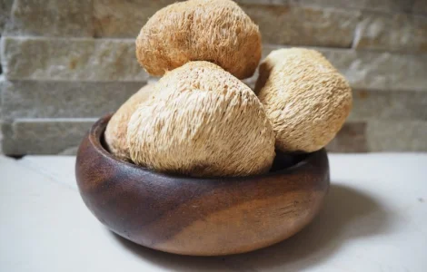 Ежовик (Їжовик ежевик) гребінчатий гребенчатый цілий гриб гериций