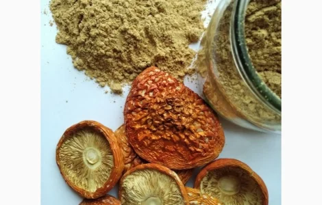 Шляпки мухомора червоного