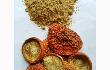 Мухомор мелений червоний