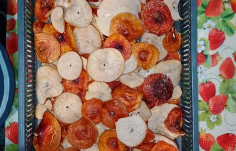 Акція 10% меленого в ПОДАРУНОК!!!Мухомор Вищий сорт