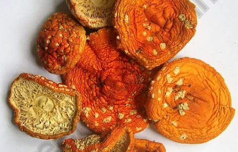 Продам сушені еко-мухомори