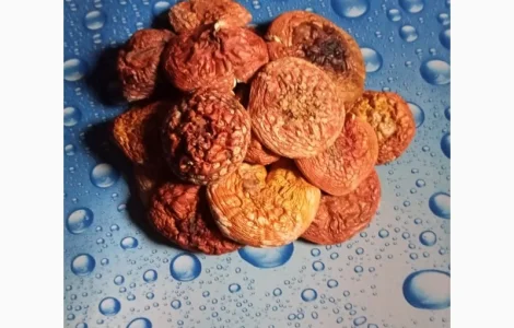 Сушєні шляпки червоного мухомора