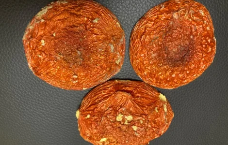 Настоянка з мухомора