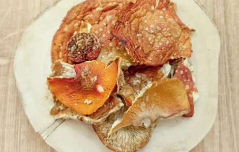 КРАСНЫЙ МУХОМОР 2023 - Шляпки красного мухомора сушеные, купить в Украине для микродозинга