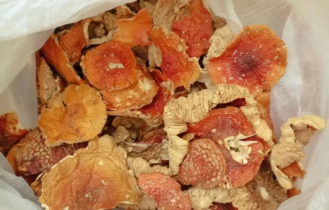 Червоний Мухомор - 2 сорт