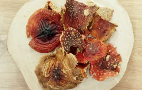 Красный мухомор 2 сорт. Шкрасного мухомора сушеные