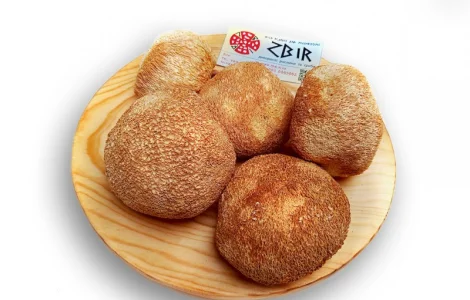 Їжовик Гребінчастий (Hericium erinaceus)