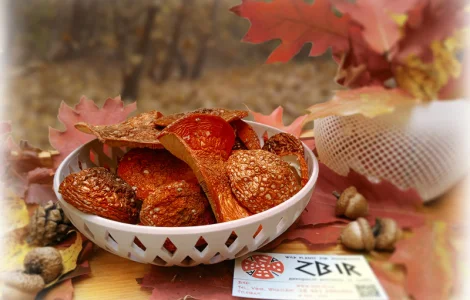 Мухомор ЧЕРВОНИЙ (Amanita Muscaria)