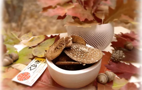 Мухомор ПАНТЕРНИЙ (Amanita Pantherina)