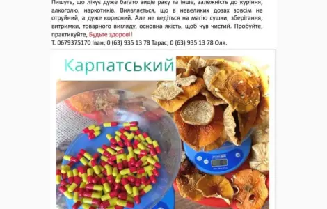 Мухомор сушений в продаже