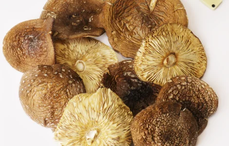 Пантерный мухомор