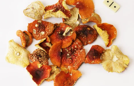 Мухомор червоний