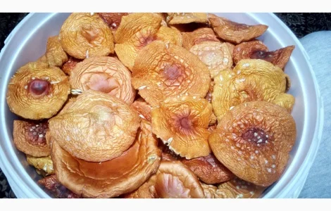 Мухомор червоний сушений. Мухоморы красные