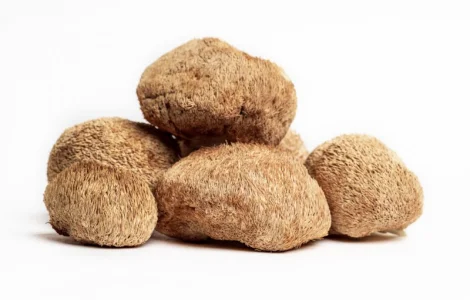 Продаємо Їжовик гребінчастий, сушений, від 100 г, український виробник Savvy Foods