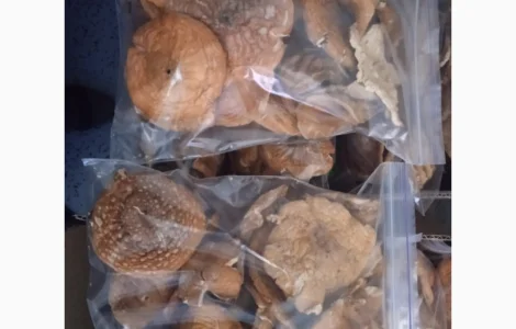 Мухор пантерний капелюшки