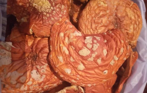 Мухомори червоні, сухі