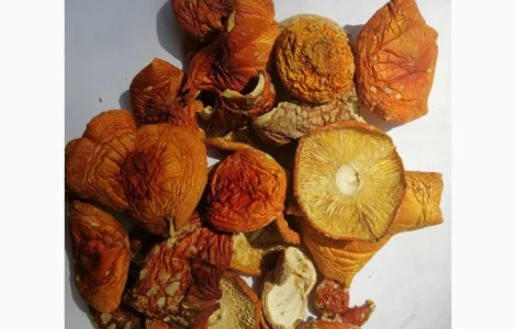 Продам мухомори (сушені шапки)