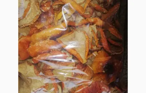 Продажа Аmanita muscaria