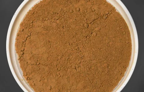 ЭКСТРАКТ ЕЖОВИКА ГРЕБЕНЧАТОГО в порошке Ежевик Герициум Львиная грива