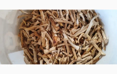 Сушені ніжки червоних мухомор