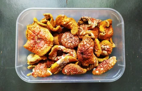 Мухомор червоний сушений (amanita muscaria)