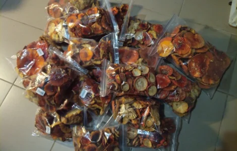 Продам мухомор червоний нерозкритий