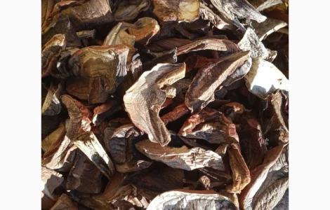 Сухие лесные грибы из Закарпатя подосиновик подберезовик цены указаны за 1 кг