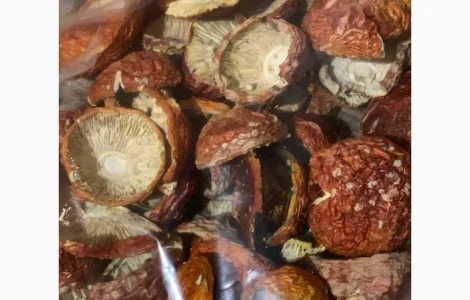 Шапочка червоного мухомора сушений червоний мухомор