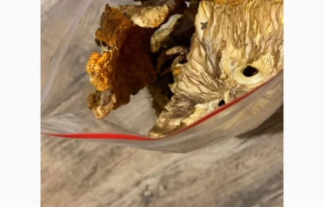 Сушені мухомори в роздріб від 50 г мікродозинг мухомора є різні сорти