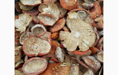 Червоні мухомори сушені