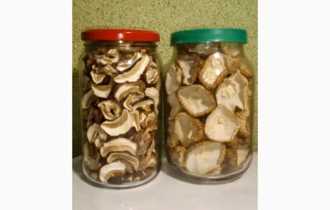 Молоді шапочки білі/белые гриби першого сорту сушені з Карпат (білий/белый гриб)