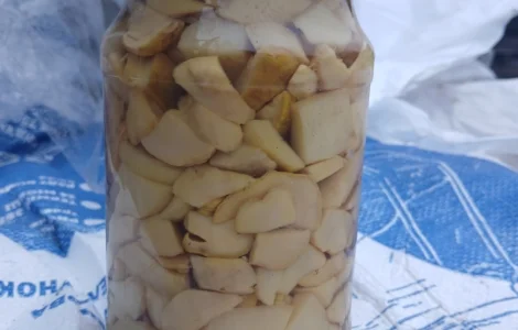 Продам білі мариновані гриби