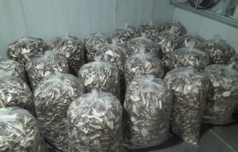 Продажа белых сухих грибов