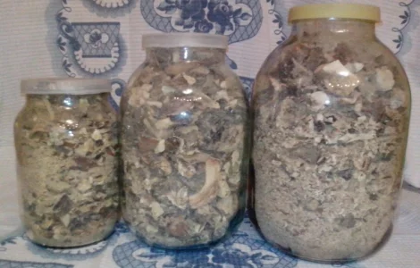 Гриби білі сушені – Карпати