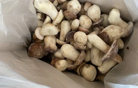 Гриби білі заморожені перший сорт осінь 2024р Закарпаття