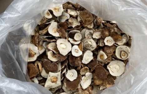 Сушена шапочка білого гриба! 2800грн