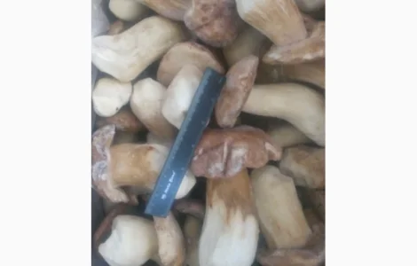 Гриби білі цілі 1 ґатунок заморожені