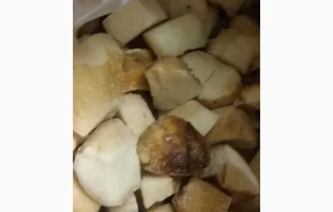 Гриб белый кубик