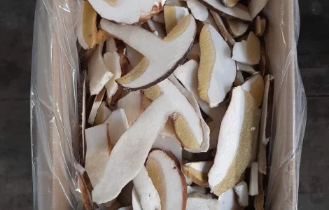 Куплю білі гриби, лисички