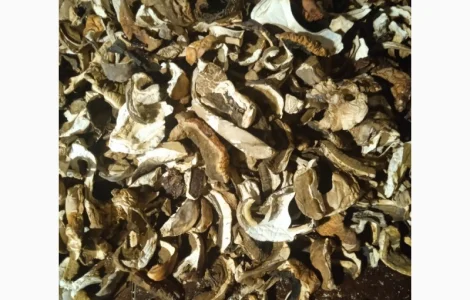 Продам сухі білі гриби